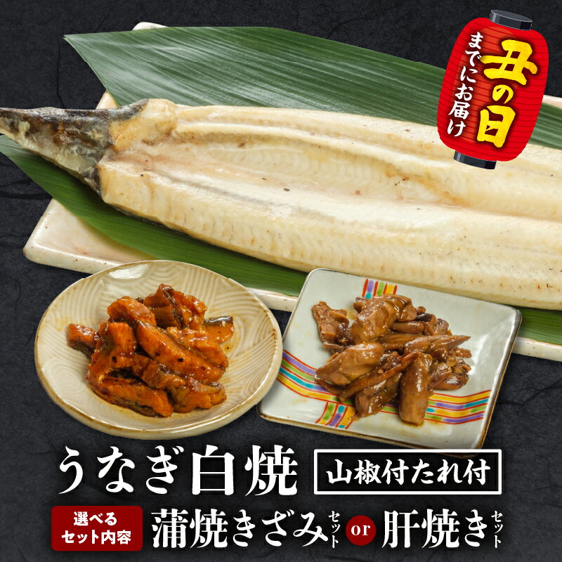 [選べるセット内容・発送月]うなぎ白焼(大サイズ)ときざみ・肝焼きセット うなぎ 鰻の白焼 白焼 うなぎ白焼き きざみ 肝焼き うなぎきざみ セット 詰め合わせ 選べる 惣菜 お惣菜 おかず 贈答 贈り物 ギフト お歳暮 お中元 プレゼント 人気 宮崎市