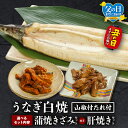 【ふるさと納税】【選べるセット内容・発送月】うなぎ白焼(大サイズ)ときざみ・肝焼きセット うなぎ 鰻の白焼 白焼 うなぎ白焼き きざみ 肝焼き うなぎきざみ セ...
