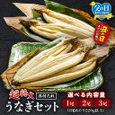 【ふるさと納税】【選べる内容量・発送月】うなぎ白焼(超特大サイズ) セット うなぎの白焼き 超特大サイズ たれ 惣菜 贈答 贈り物 ギフト プレゼント ご褒美 ...