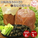 【ふるさと納税】宮崎肉巻きおにぎり（120g×6個）＆鶏炭火