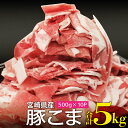 【ふるさと納税】宮崎県産 豚のこま切れ 5kg（500g×10