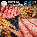 【ふるさと納税】定期便 宮崎牛 しゃぶすき&焼肉 6ヶ月 コース 最高級 黒毛和牛 しゃぶしゃぶ すき焼き スライス BBQ お肉 国産牛 食品 畜産物 宮崎県 宮崎市 送料無料