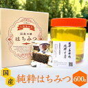 24位! 口コミ数「0件」評価「0」数量限定 国産ハチミツ (600g×1本) 宮崎県産純粋ハチミツ | はちみつ 蜂蜜 ハニー お取り寄せ 国産 純粋はちみつ 純粋ハチミツ ･･･ 