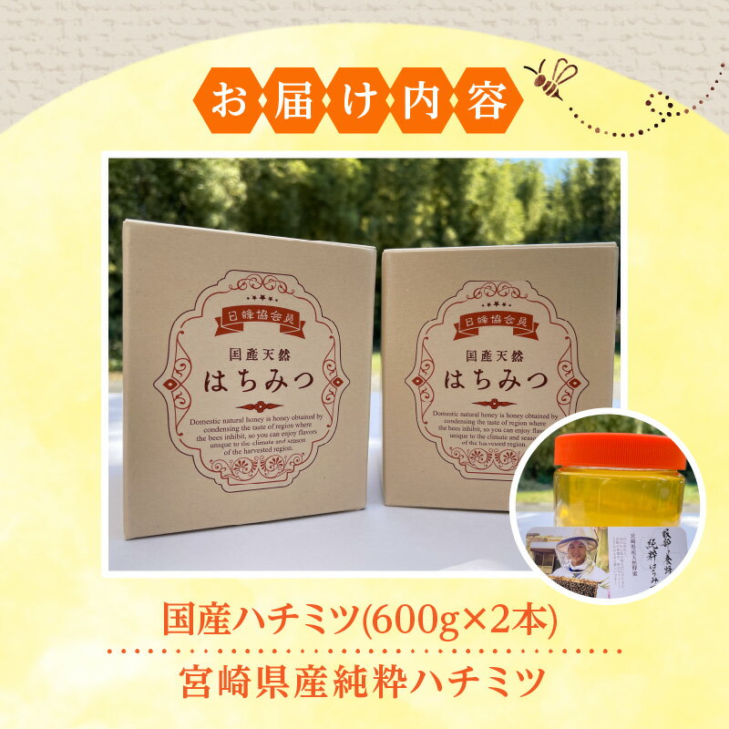 【ふるさと納税】 数量限定 国産ハチミツ (600g×2本) 宮崎県産純粋ハチミツ | はちみつ 蜂蜜 ハニー お取り寄せ 国産 純粋はちみつ 純粋ハチミツ 九州 お土産 宮崎土産 |