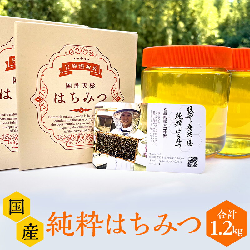 【ふるさと納税】 数量限定 国産ハチミツ (600g×2本) 宮崎県産純粋ハチミツ | はちみつ 蜂蜜 ハニー お取り寄せ 国産 純粋はちみつ 純粋ハチミツ 九州 お土産 宮崎土産 |