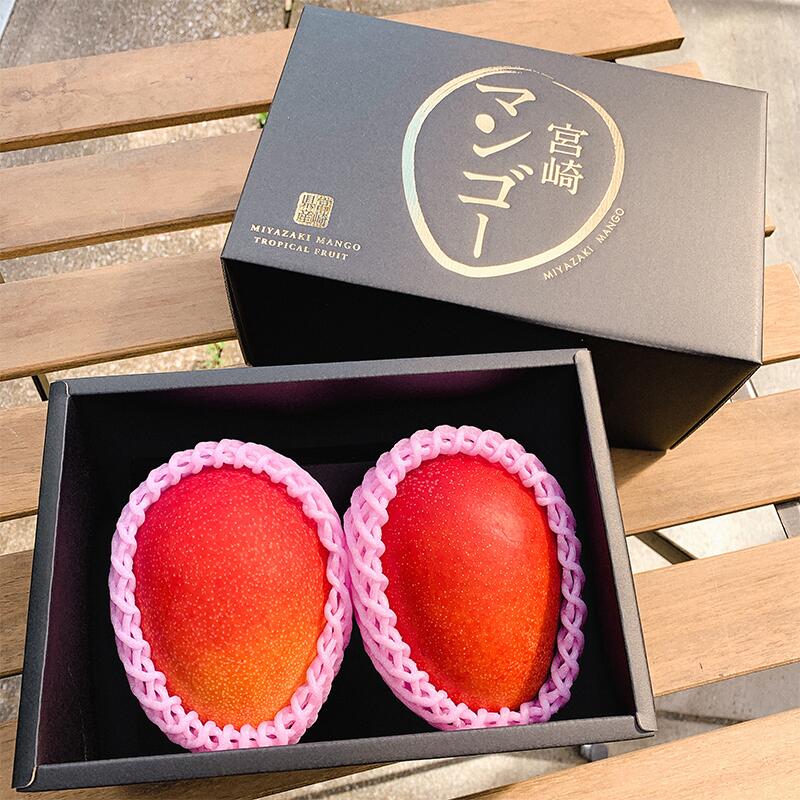 宮崎県宮崎市の画像2