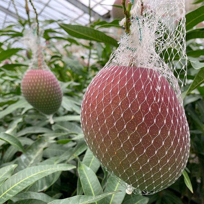 宮崎県宮崎市の画像3