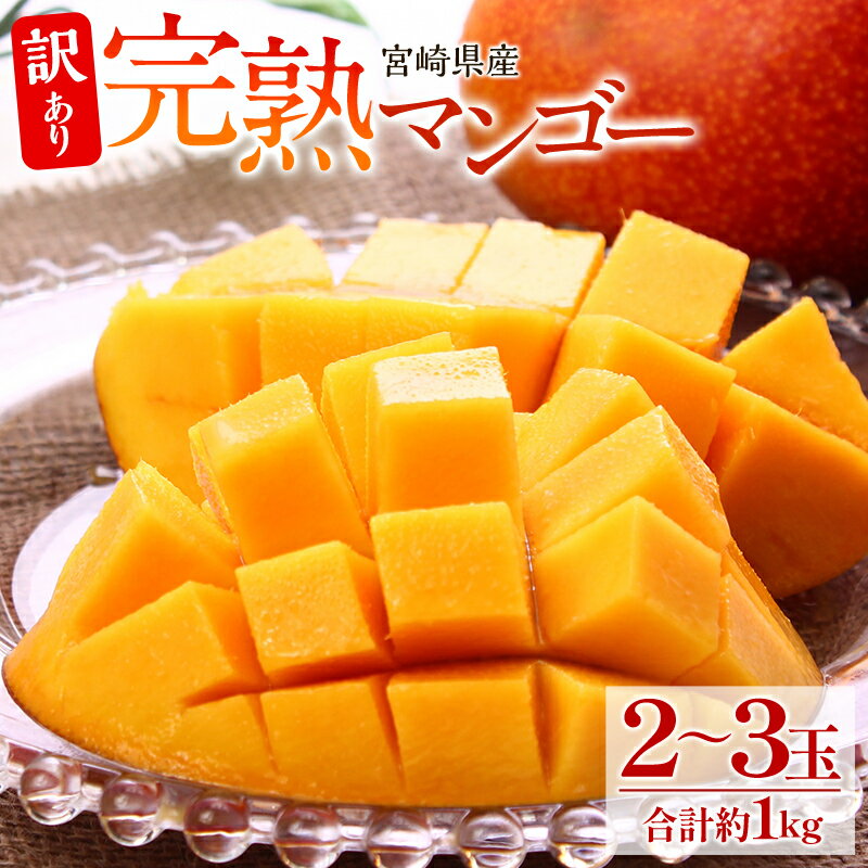 【ふるさと納税】《2026年発送 先行予約》【数量・期間限定】【訳あり】 完熟マンゴー 合計約1kg (2〜3玉) マンゴー 完熟 訳あり品 バラつき 不揃い ...