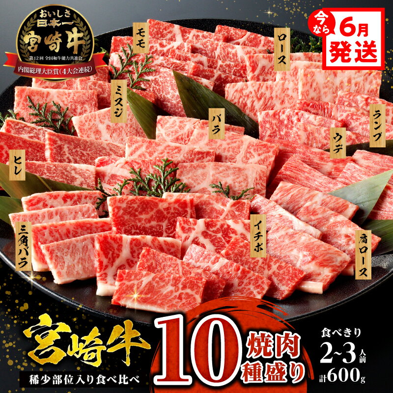 【ふるさと納税】《発送月が選べる！》《レビューキャンペーン》 宮崎牛 焼肉 10種 盛り合わせ 食べ比...