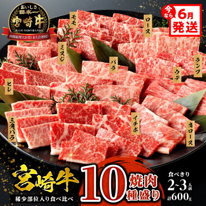 《発送月が選べる！》《レビューキャンペーン》 宮崎牛 焼肉 10種 盛り合わせ 食べ比べ モモ ウデ ロース 肩ロース バラ ミスジ ランプ イチボ お肉 ヒレ 国産牛 黒毛和牛 国産 牛肉 肉 宮崎 BBQ 料理 セット 宮崎県産 人気 おすすめ 宮崎県 宮崎市 送料無料