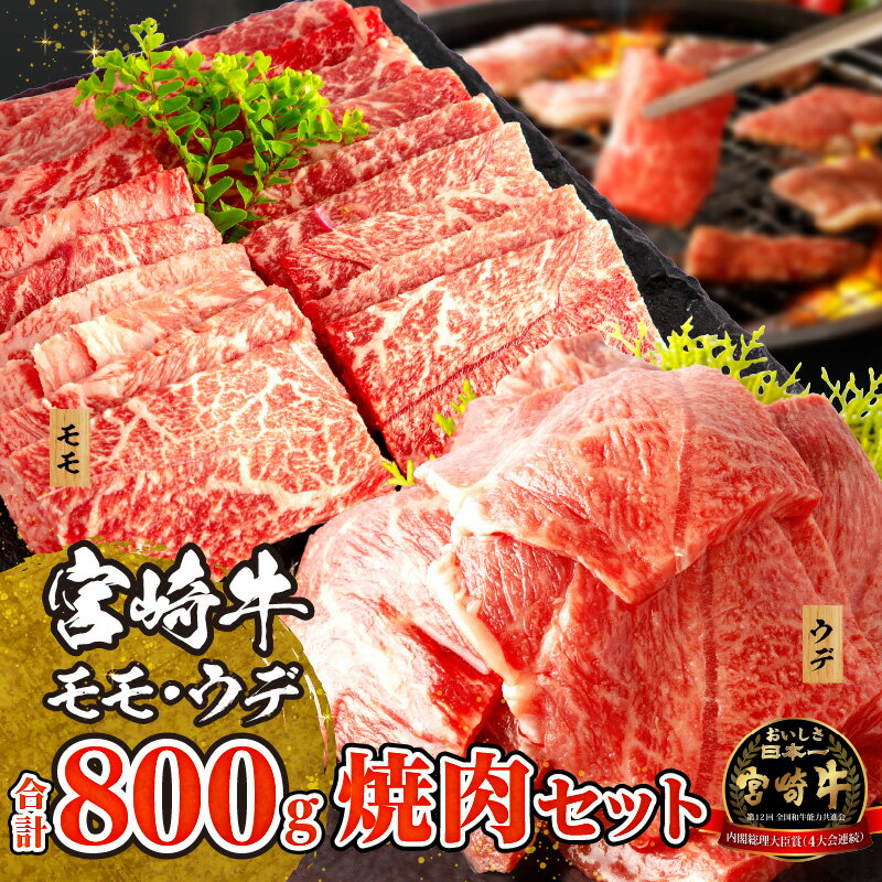 [レビューキャンペーン] 宮崎牛 モモ ウデ 焼肉 セット 各400g(計800g) | ミヤチク 牛肉 宮崎牛 焼肉 焼き肉 肉 にく おにく 国産牛 和牛 冷凍 小分け アウトドア 内閣総理大臣賞4大会連続受賞 和牛オリンピック | お肉