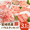 宮崎県産豚 バラエティセット 7種 合計 3.1kg 豚ローストンカツ 5枚 500g 豚ロースしゃぶ 300g 1パック ミヤチク 豚肩ロースしゃぶ 豚ウデ小間切れ 豚バラしゃぶ 豚しゃぶ 豚肉 豚 肉 精肉 料理 使い勝手 普段使い お弁当 宮崎県 宮崎市 送料無料 お肉