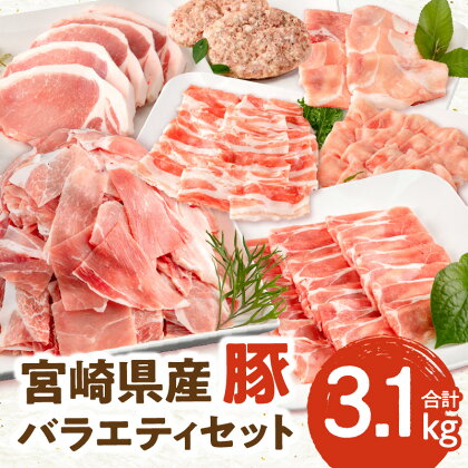 宮崎県産豚 バラエティセット 7種 合計 3.1kg 豚ローストンカツ 5枚 500g 豚ロースしゃぶ 300g 1パック ミヤチク 豚肩ロースしゃぶ 豚ウデ小間切れ 豚バラしゃぶ 豚しゃぶ 豚肉 豚 肉 精肉 料理 使い勝手 普段使い お弁当 宮崎県 宮崎市 送料無料 お肉