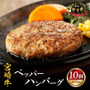 【ふるさと納税】お肉 牛肉 和牛 宮崎牛 国産 ペッパー ハンバーグ 100g 10個 ミヤチク 全国和牛能力共進会 内閣総理大臣賞 4大会連続受賞 厳選 人気 冷凍 宮崎県 宮崎市 送料無料 お肉