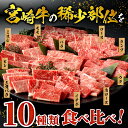 【ふるさと納税】《発送月が選べる！》《レビューキャンペーン》 宮崎牛 焼肉 10種 盛り合わせ 食べ比べ モモ ウデ ロース 肩ロース バラ ミスジ ランプ イチボ お肉 ヒレ 国産牛 黒毛和牛 国産 牛肉 肉 宮崎 BBQ 料理 セット 宮崎県産 人気 おすすめ 宮崎県 宮崎市 送料無料 2