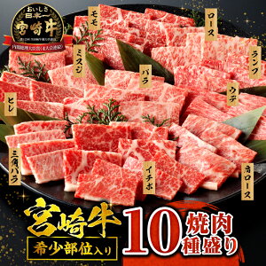 【ふるさと納税】発送月が選べる！《レビューキャンペーン》 宮崎牛 焼肉 10種 盛り合わせ 食べ比べ モモ ウデ ロース 肩ロース バラ ミスジ ランプ イチボ お肉 ヒレ 国産牛 黒毛和牛 国産 牛肉 肉 宮崎 BBQ 料理 セット 宮崎県産 人気 おすすめ 宮崎県 宮崎市 送料無料