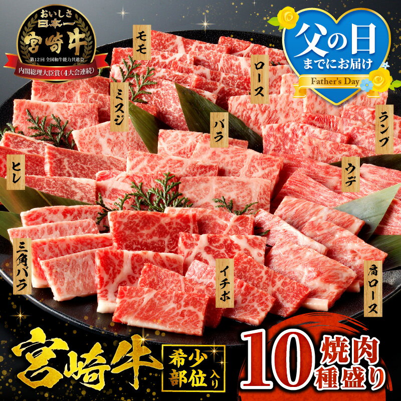 【ふるさと納税】【父の日までにお届け】《発送月が選べる！》 宮崎牛 焼肉 10種 盛り合わせ 食べ比べ モモ ウデ ロース 肩ロース バラ ミスジ ランプ イチボ お肉 ヒレ 国産 牛肉 肉 宮崎 BBQ セット 宮崎県産 人気 おすすめ 《レビューキャンペーン》 宮崎市 送料無料