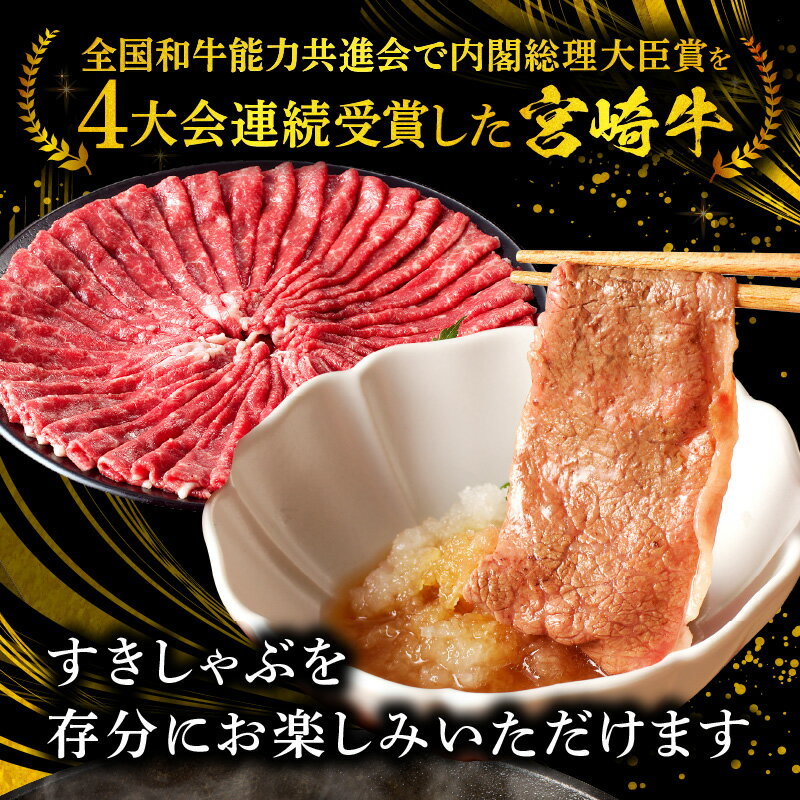 宮崎県宮崎市の画像2