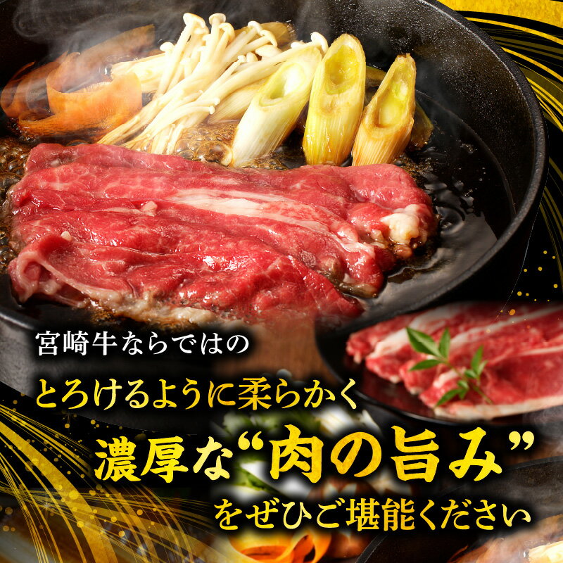 宮崎県宮崎市の画像3