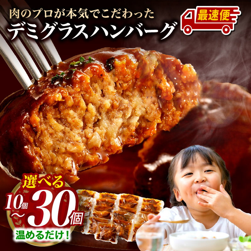 [2週間以内発送!!] デミグラスハンバーグ 10〜30個 鉄板焼 国産 牛肉 豚肉 合挽き 牛 豚 肉 ハンバーグ 小分け 個包装 簡単調理 レトルト デミハン 湯煎 ボイル 惣菜 おかず 温めるだけ 人気 冷凍 グルメ おすすめ [レビューキャンペーン] 宮崎県 宮崎市