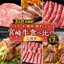 【ふるさと納税】ステーキ 焼肉 焼きしゃぶ 宮崎牛 食