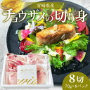 【ふるさと納税】宮崎県産チョウザメの切り身70g×8パックセット シロチョウザメ 人工種苗生産 完全養殖技術 自然 高タンパク質 魚肉 真空パック 唐揚げ ガー...