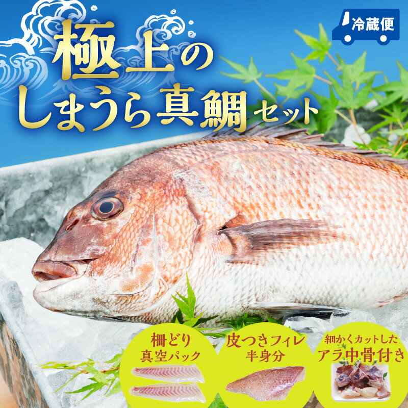 8位! 口コミ数「0件」評価「0」新鮮 しまうら真鯛 セット 詰め合わせ 真鯛 鯛 柵どり フィレ アラ 新鮮 刺身 カルパッチョ しゃぶしゃぶ 鯛料理 塩焼き 潮汁 真鯛の･･･ 