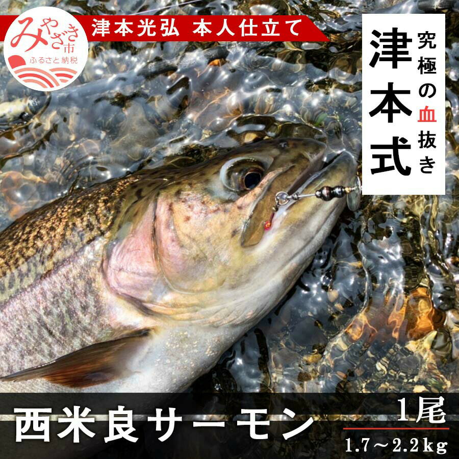 【ふるさと納税】 津本式 西米良サーモン1尾　〜津本光弘本人仕立て〜 厳選 ドナルドソントラウト イワナ 刺身 カルパッチョ マリネ 塩焼き 香草焼き ホイル焼き 西京焼き 熟成 魚介 お土産 宮崎県 宮崎市 送料無料