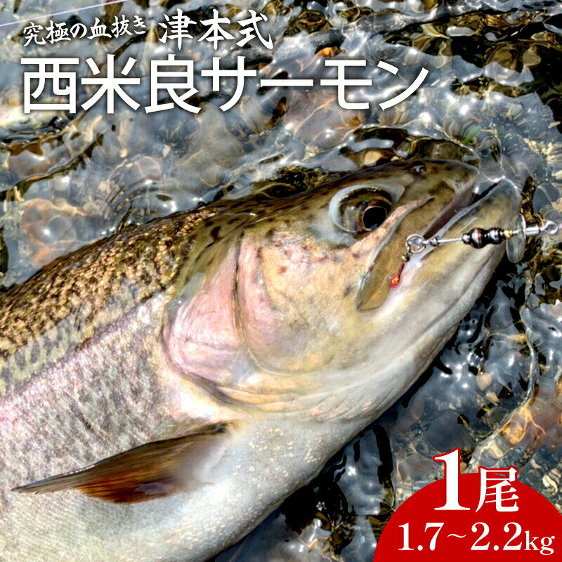 4位! 口コミ数「0件」評価「0」 津本式 西米良サーモン1尾　〜津本光弘本人仕立て〜 厳選 ドナルドソントラウト イワナ 刺身 カルパッチョ マリネ 塩焼き 香草焼き ホイ･･･ 