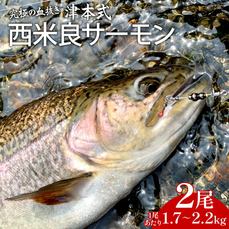 20位! 口コミ数「0件」評価「0」 津本式 西米良サーモン2尾　〜津本光弘本人仕立て〜 厳選 ドナルドソントラウト イワナ 刺身 カルパッチョ マリネ 塩焼き 香草焼き ホイ･･･ 