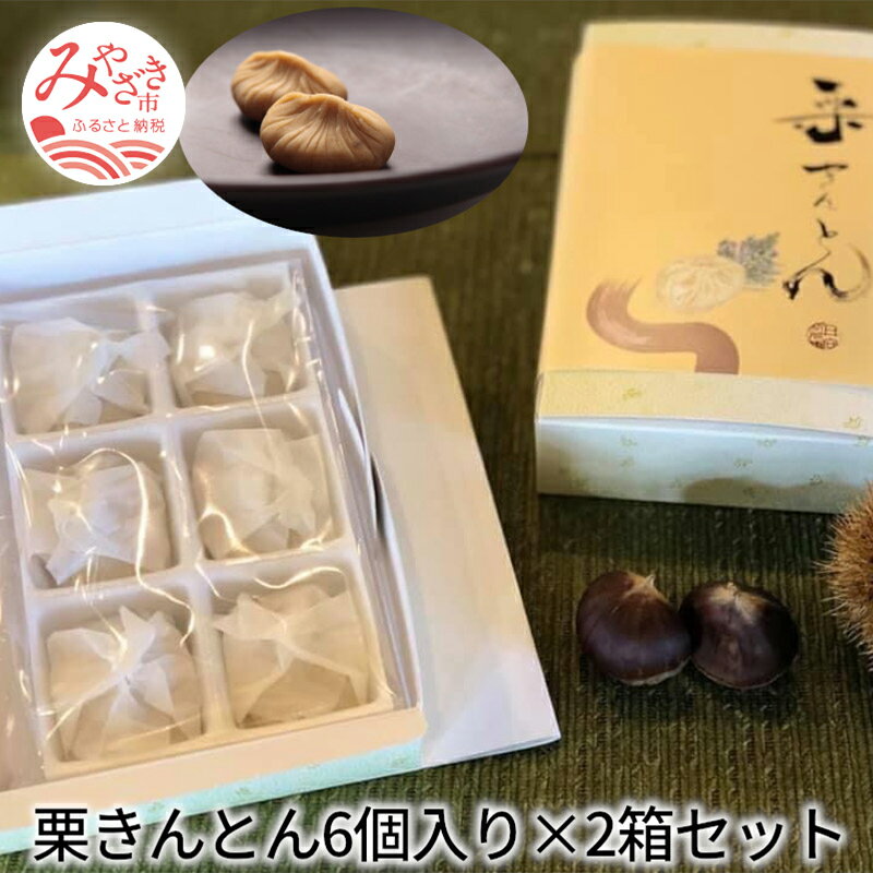 【ふるさと納税】栗きんとん6個入り×2箱セット 栗 シンプル 秋 和菓子 銘菓 最高級 団欒 御贈答 日向利久庵 お菓子 専門店 お土産 ギフト 栗餡 冷凍 宮崎県 宮崎市 送料無料