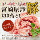 宮崎県宮崎市の画像3
