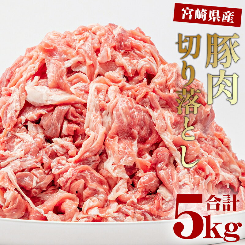 【ふるさと納税】宮崎県産 豚肉 切り落とし 250g×20 合計5kg | 豚肉小分けパック 便利 使いやすい 食品 豚丼 焼きそば 肉じゃが お鍋 におすすめ お取り寄せ お取り寄せグルメ |