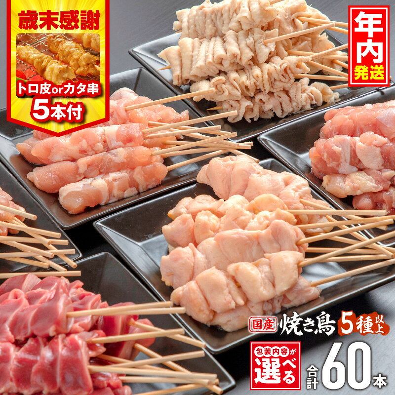 【ふるさと納税】【年内発送・歳末感謝】【包装内容・発送時期が選べる・定期便】【数量・期間限定】若鶏の焼き鳥セット(60本)盛り合わせ・部位ごと包装のみトロ皮串orカタ串5本 鶏肉 肉 お肉 若鶏 焼き鳥 詰め合わせ 焼き鳥セット 小分け パック おすすめ 人気 ふるさと