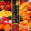 9位! 口コミ数「3件」評価「4.67」果物 いちご 完熟 きんかん たまたま エクセレント 種なし 日向夏 太陽のタマゴ マンゴー ライチ 温室みかん 温州みかん 津之輝 数量限･･･ 