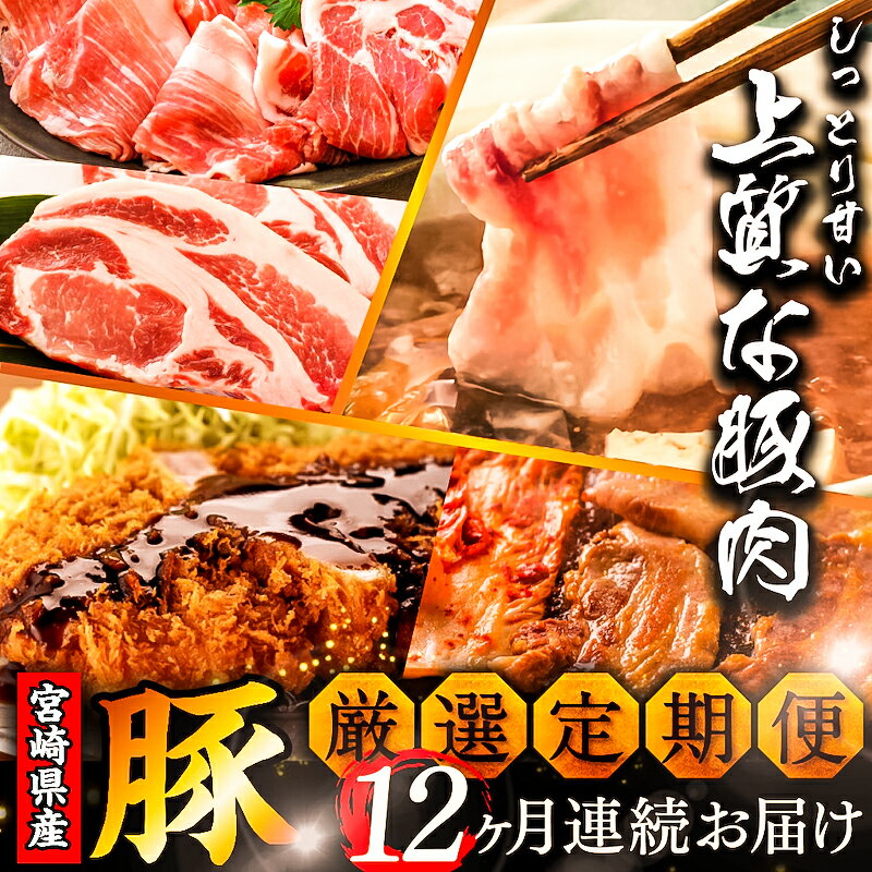 【ふるさと納税】《期間・数量限定》 厳選！宮崎県産豚 定期便 Bコース 《2024年3月から毎月お届け!》 全12回 豚肉 切り落とし ロース しゃぶしゃぶ 肩ロース 焼肉 バラ ヒレ スライス 宮崎県 宮崎市 送料無料