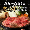 宮崎県宮崎市の画像3