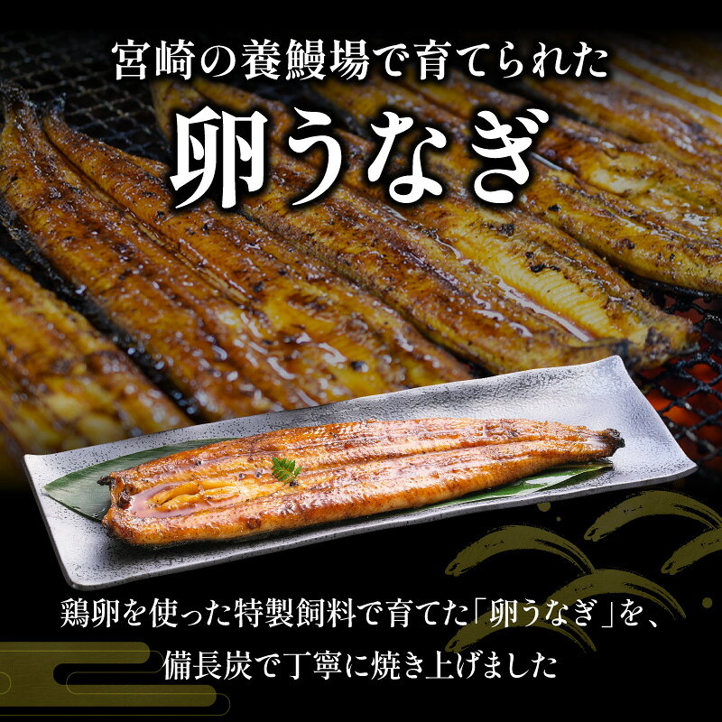 【ふるさと納税】 【内容量が選べる】「卵うなぎ」備長炭手焼蒲焼 2尾 3尾 4尾 5尾 たれ 山椒 うなぎ 国産 蒲焼 うなぎ蒲焼 国産うなぎ 鰻の蒲焼き 小分け パック 真空パック 冷凍 簡単調理 時短調理 お惣菜 惣菜 贈答 贈り物 ギフト プレゼント グルメ おすすめ 宮崎 f452017-miyazaki-10002946 宮崎県宮崎市 サンプル画像2