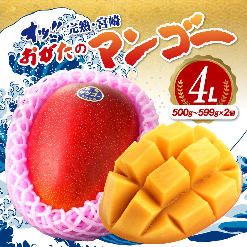 [期間・数量限定]おがたのマンゴー 完熟宮崎マンゴー 4Lサイズ(500〜599g)×2個セット のし対応可 マンゴー 完熟マンゴー 宮崎マンゴー 果物 フルーツ デザート スイーツ 贈答 贈り物 ギフト プレゼント 化粧箱 宮崎市 送料無料