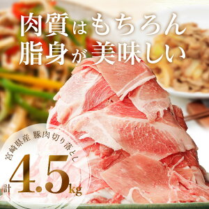 【ふるさと納税】 【ご好評につき期間延長】豚肉 宮崎県産 切り落とし 4.5kg（豚肉 冷凍 500g×9 パック 合計4.5kg）| 肉 国産 国産豚 国産豚肉 小分け パック 使い勝手 便利 スライス スライス肉 精肉 食品 料理 アレンジ 炒め物 汁物 冷凍 お弁当 おかず 宮崎市 送料無料 |