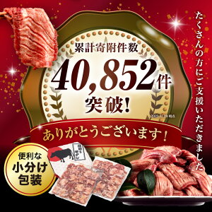 【ふるさと納税】《レビューキャンペーン》 《訳あり》厚切り 牛タン 塩味 たっぷり 計1kg (500g×2) 牛タン タン肉 牛肉 スライス 焼肉 焼き肉 BBQ 不揃い 切り落とし カット済み お取り寄せ 小分け タン先 タン中 タン元 簡単料理 キャンプ 冷凍 宮崎県 宮崎市 送料無料