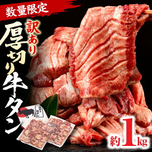 【ふるさと納税】 《訳あり》厚切り 牛タン 塩味 たっぷり 計1kg （500g×2） 牛タン タン肉 牛肉 スライス 焼肉 焼き肉 BBQ 不揃い 切り落とし カット済み お取り寄せ 小分け タン先 タン中 タン元 焼くだけ お裾分け 簡単料理 肉汁 キャンプ 冷凍 宮崎県 宮崎市 送料無料