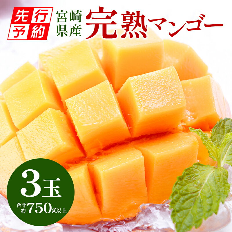 【ふるさと納税】期間限定 数量限定 宮崎県産 完熟マンゴー3玉 合計約750g以上 | 宮崎マンゴー フルーツ 果物 ギフト プレゼント |のサムネイル