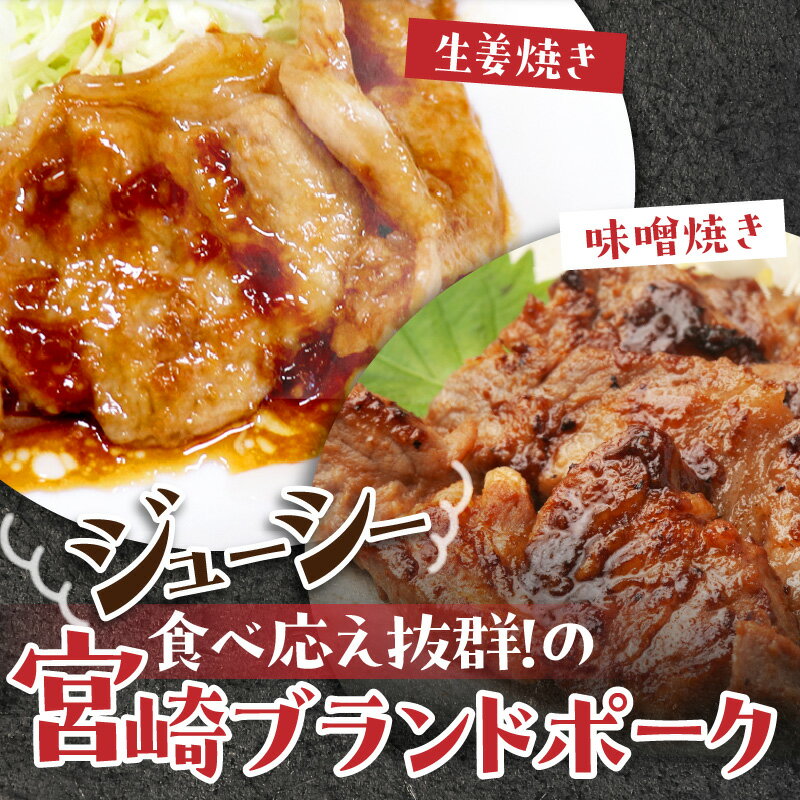 宮崎県宮崎市の画像2