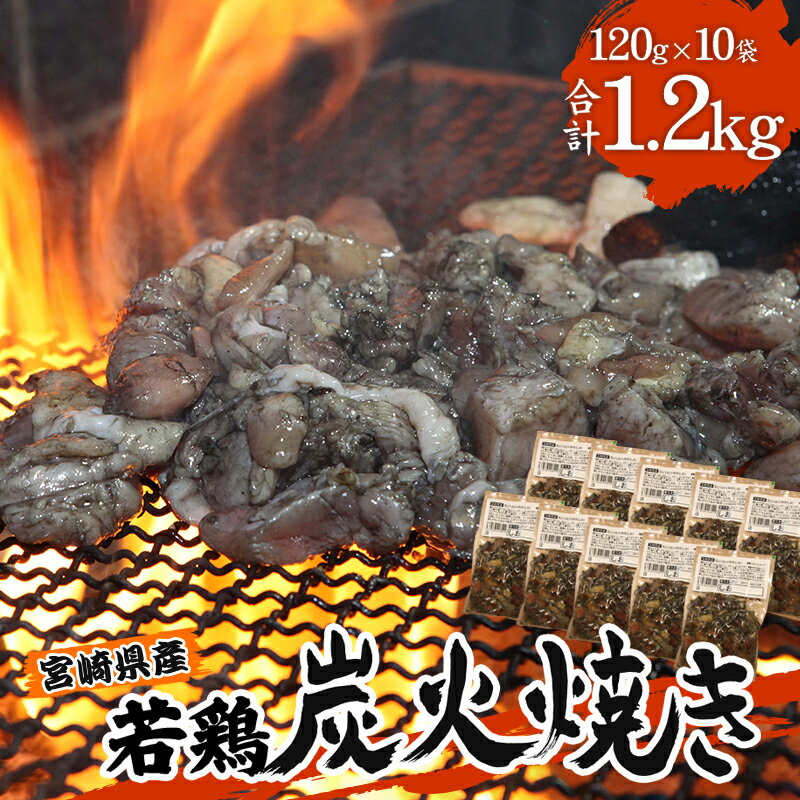 宮崎の名店「宮崎肉魚青木」県産若鶏炭火焼き しお 冷凍パック 120g×10袋 鶏 肉 おつまみ 宮崎ご当地グルメ 特産品 キャンプ BBQ 電子レンジ 湯煎 簡単調理 宮崎県 宮崎市 送料無料