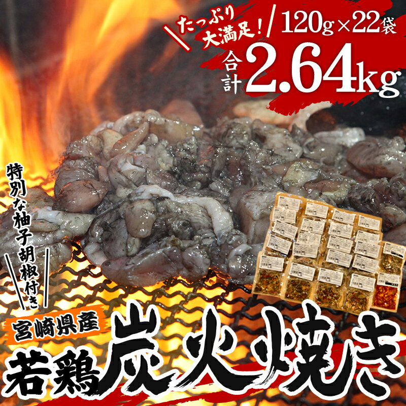 【ふるさと納税】宮崎県産 若鶏 炭火焼 計2.64kg たっぷり22パック 宮崎の名店「宮崎肉魚青木」 柚子胡椒 プロ野球 キャンプシーズン みそ 辛みそ お肉 国産 食品 畜産物 宮崎県 宮崎市 送料無料