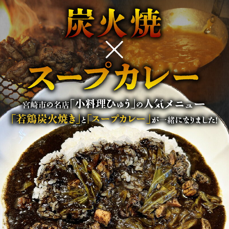 【ふるさと納税】炭香る宮崎県産若鶏炭火焼スープカレー 計1.9kg 若鶏 炭火焼 カレー スープカレー 炭火 鶏肉 肉 国産鶏 お惣菜 惣菜 料理 食品 加工食品 アウトドア キャンプ カレーライス 冷凍 冷凍食品 簡単調理 湯煎 レンジ 宮崎県 宮崎市 送料無料