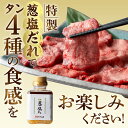 【ふるさと納税】厚切り 薄切り 牛タン タンバーグ 葱塩だれ付き 食べ比べ セット 詰め合わせ 味比べ 牛肉 牛 肉 お肉 ハンバーグ 厚切り牛タン 薄切り牛タン 上厚切り 並厚切り 並薄切り 塩だれ 葱塩だれ 宮崎創業40年 老舗 ハンバーグ店 平家の郷 宮崎県 宮崎市 送料無料 2