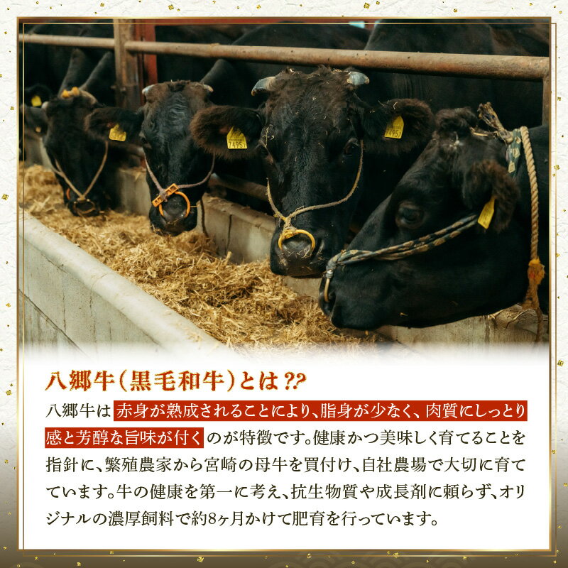 【ふるさと納税】【全3回】【宮崎県創業40年 平家の郷】宮崎県産黒毛和牛定期便 定期 定期的 牛肉定期便 牛肉 牛 肉 お肉 ロース 赤身 ステーキ サーロイン ハンバーグ 国産牛 宮崎県産 国産 セット 味比べ 食べ比べ 焼肉 BBQ 惣菜 お惣菜 おかず 小分け パック 冷凍 個包装