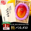 【ふるさと納税】【先行予約】《2025年発送》期間限定 数量限定 宮崎県産 希少種 マンゴー (極) パルメロ 650g以上 糖度 20度以上 1玉入り 希少 ...